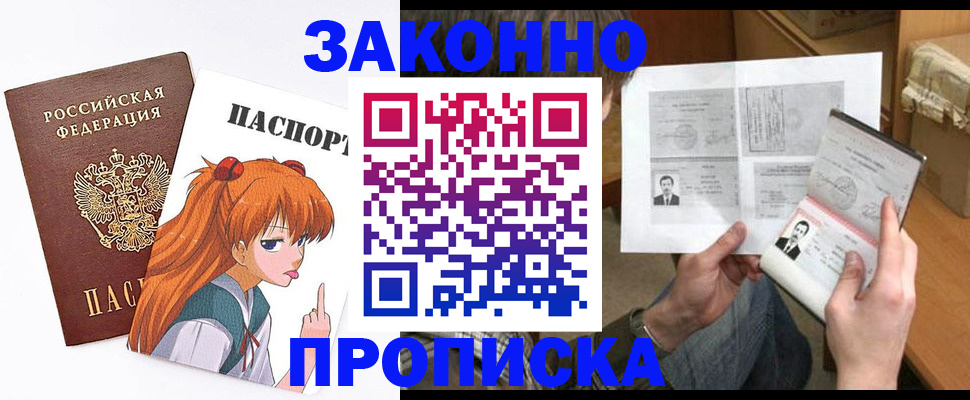 прописка законно в Раменском